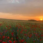 Landhotel Felchow 4*