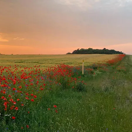 Landhotel Felchow Felchow