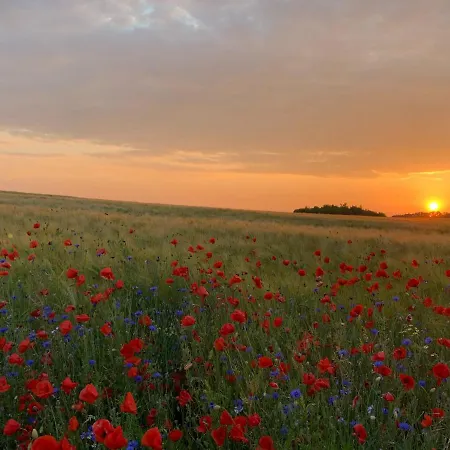 Landhotel Felchow 4*