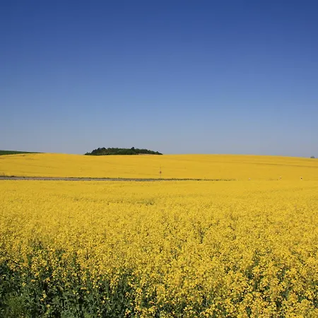 Landhotel Felchow Hotel Felchow