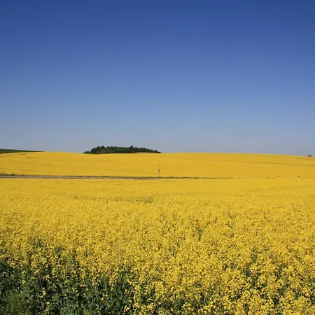 Landhotel Felchow Felchow