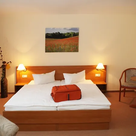 Landhotel Felchow 펠호프