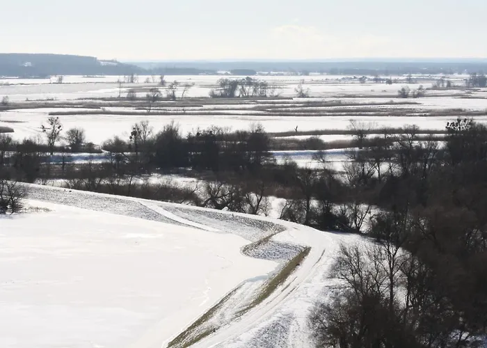 Landhotel Felchow فندق 4*