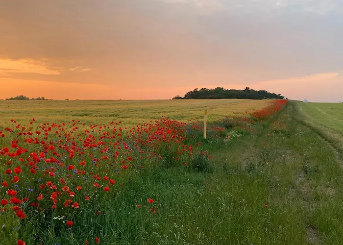 Landhotel Felchow 펠호프