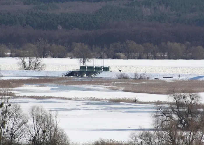 فندق Landhotel Felchow