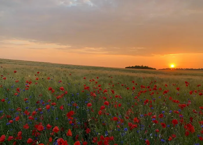 Landhotel Felchow 4*