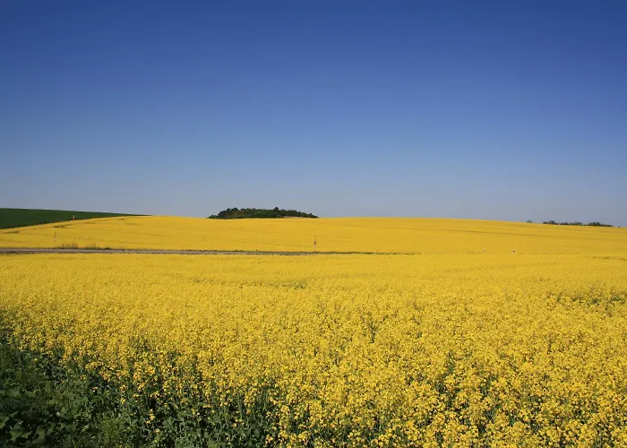 Landhotel Felchow 호텔 펠호프