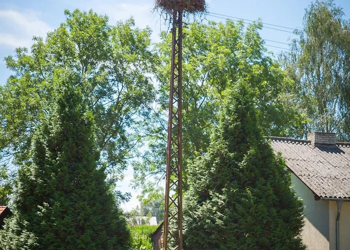 Landhotel Felchow 펠호프