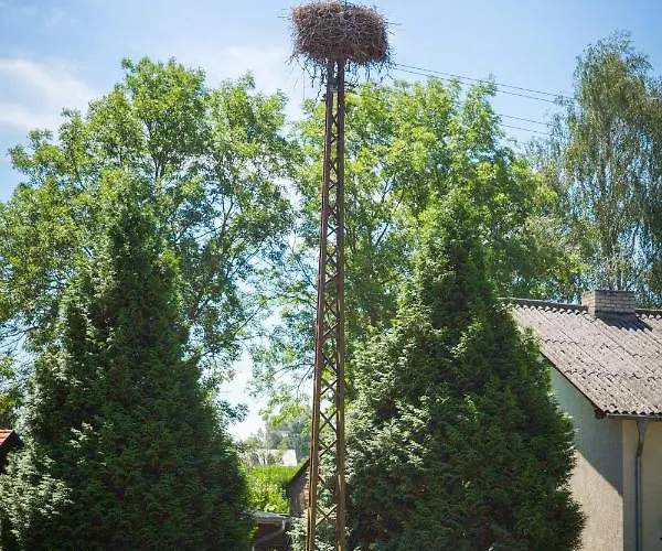 Landhotel Felchow 호텔 펠호프